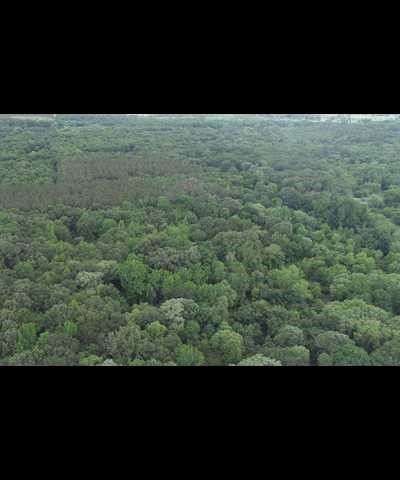 TBD County Road 3180, Winnsboro, TX 75494