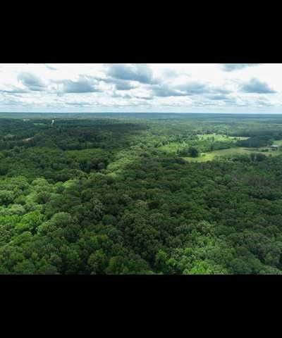 TBD County Road 3180, Winnsboro, TX 75494