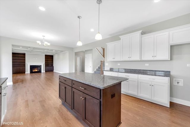 19943 Silverside Drive, Tinley Park, IL 60487