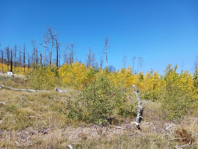 2067 Korlkoff Lane, Fort Garland, CO 81133