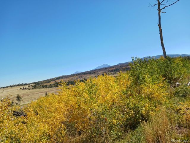 2067 Korlkoff Lane, Fort Garland, CO 81133