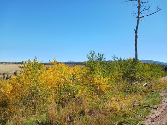2067 Korlkoff Lane, Fort Garland, CO 81133