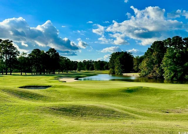 1041 Bear Lake Dr., Longs, SC 29568