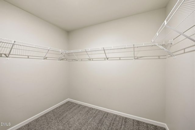 112 Anise Tree Way, Clayton, NC 27527