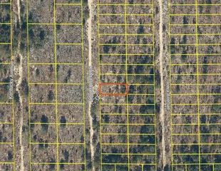116 KANSAS AVENUE, Hawthorne, FL 32640