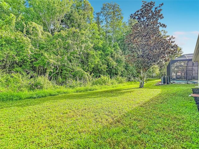 18453 CYPRESS BAY PARKWAY, Land O Lakes, FL 34638