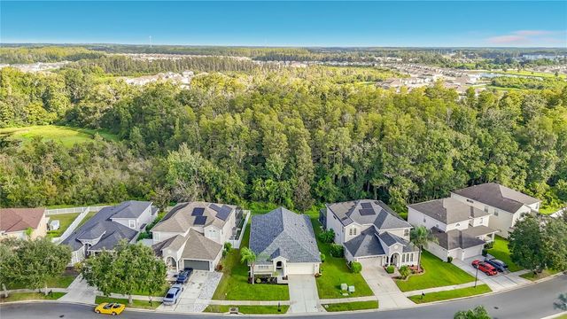 18453 CYPRESS BAY PARKWAY, Land O Lakes, FL 34638