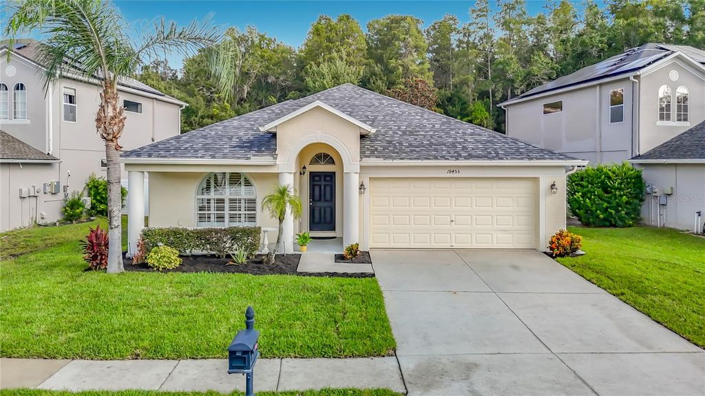 18453 CYPRESS BAY PARKWAY, Land O Lakes, FL 34638