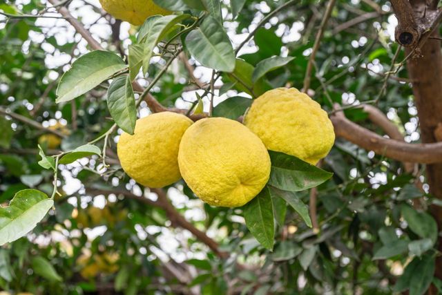 110 Meister Way, Sacramento, CA 95819