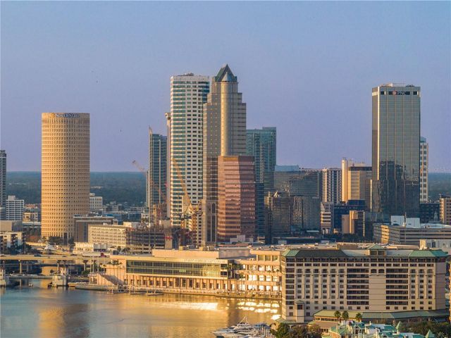 1037 ROYAL PASS ROAD, Tampa, FL 33602