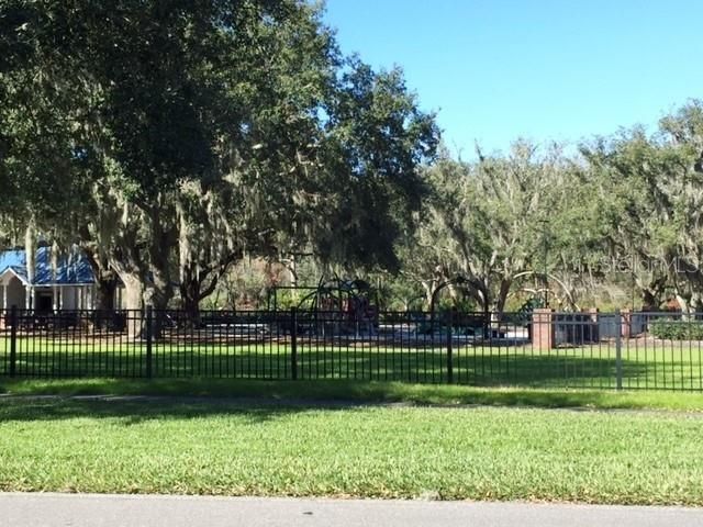 5100 BURCHETTE ROAD 1001, Tampa, FL 33647
