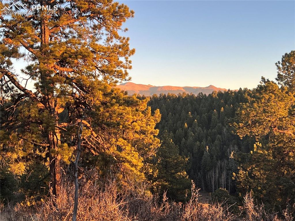 Unknown NA, Florissant, CO 80816 — photo 2