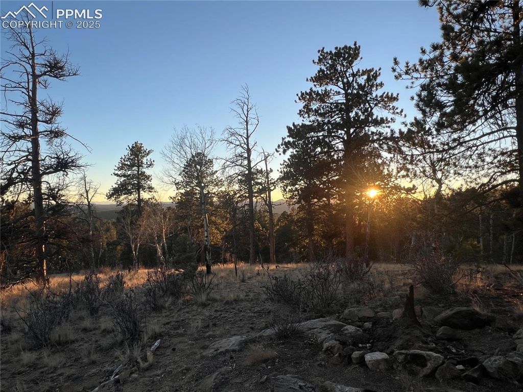 Unknown NA, Florissant, CO 80816 — photo 3