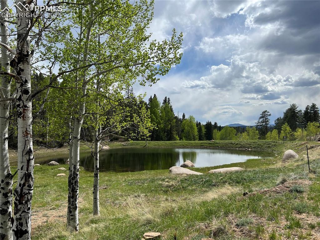 Unknown NA, Florissant, CO 80816 — photo 4