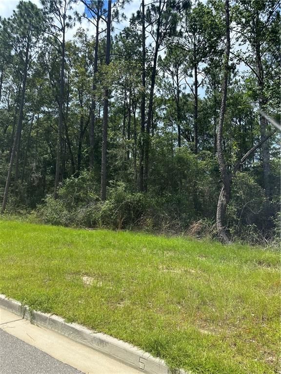 0 Wynngate Way, Mobile, AL 36695 — photo 5