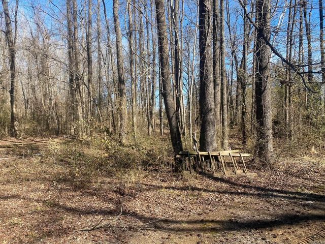 215 Cooterneck, Heber Springs, AR 72543