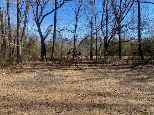 215 Cooterneck, Heber Springs, AR 72543