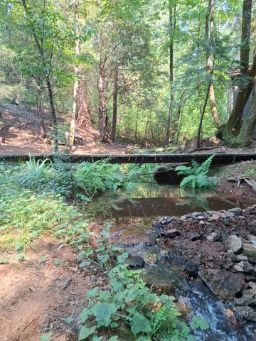 2296 Forebay Rd, Pollock Pines, CA 95726