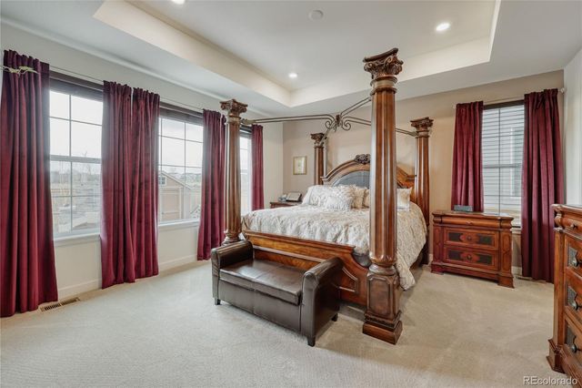 17188 Desert Wine Trail, Parker, CO 80134