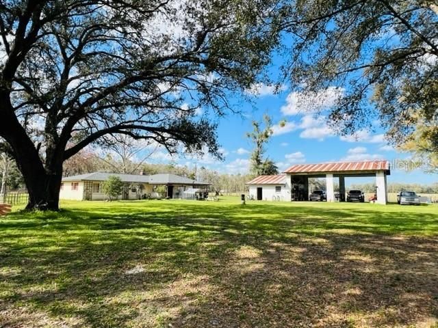 10 SW 50TH AVENUE, Bell, FL 32619