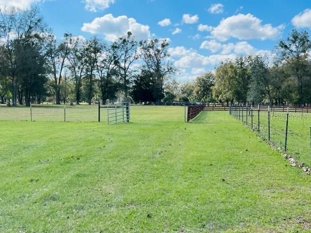 10 SW 50TH AVENUE, Bell, FL 32619