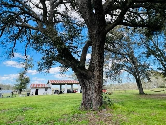 10 SW 50TH AVENUE, Bell, FL 32619