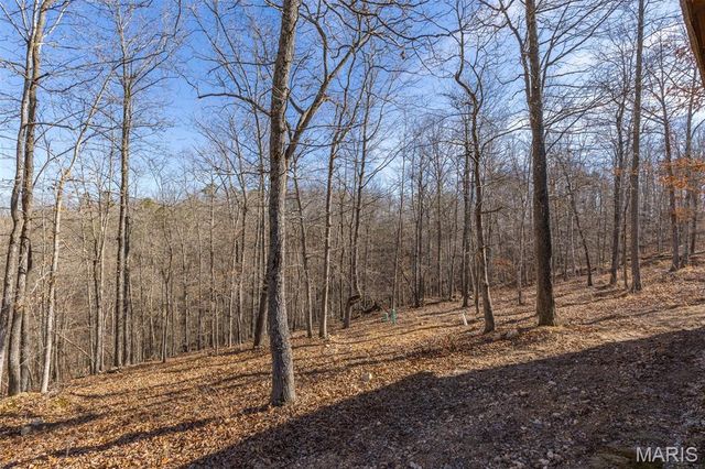 301 State Ridge, Annapolis, MO 63620