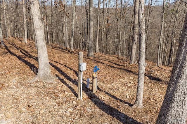 301 State Ridge, Annapolis, MO 63620