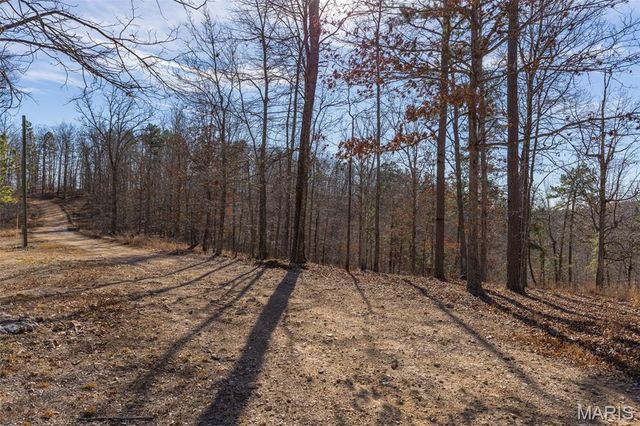 301 State Ridge, Annapolis, MO 63620