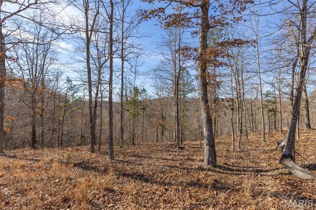 301 State Ridge, Annapolis, MO 63620