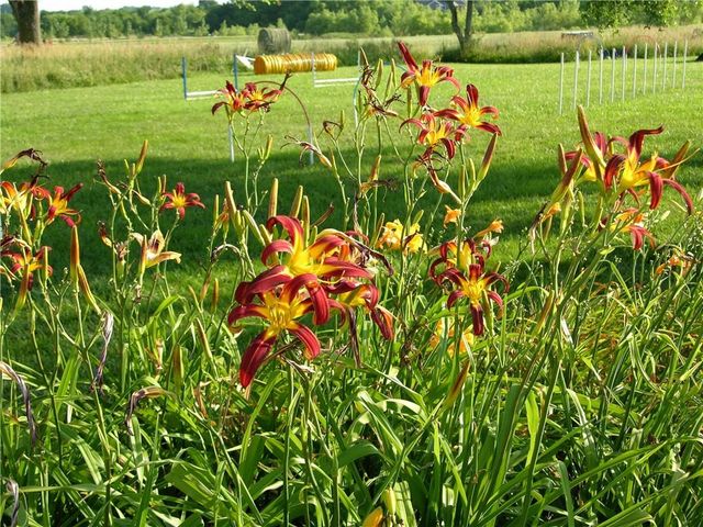 23119 Pawnee Road, Bucyrus, KS 66013