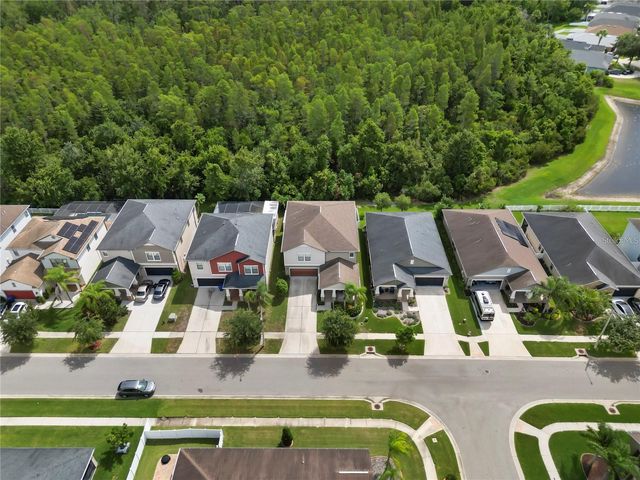 4350 SHREWBURY PLACE, Land O Lakes, FL 34638