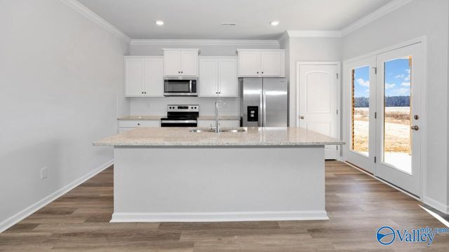 28243 Saddle Springs Drive NW, Madison, AL 35756