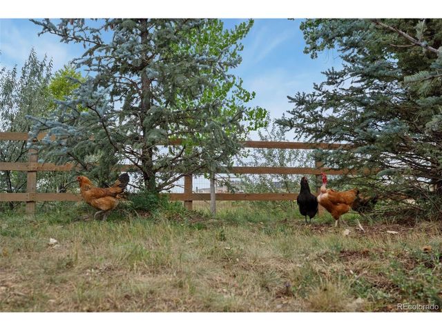 8150 Open View Pl, Loveland, CO 80537