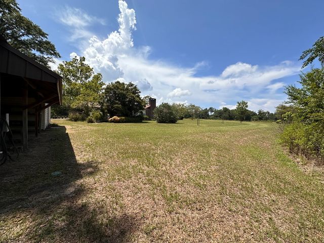 6185 Willie Varnum Rd, Cottonwood, AL 36320