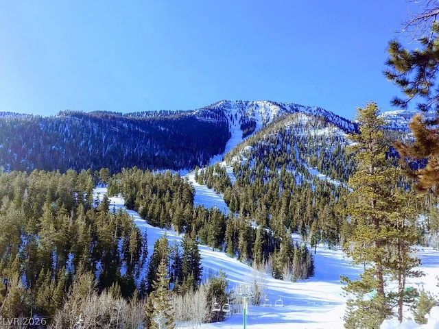 8854 Mountain Lion Avenue, Las Vegas, NV 89166