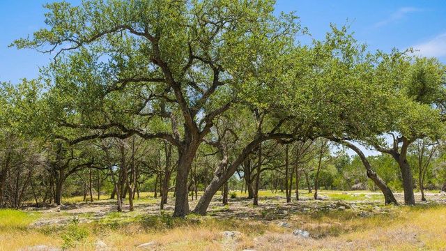 Tract 5 Cypress Cove RD, Spring Branch, TX 78070