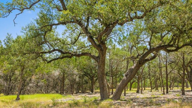 Tract 5 Cypress Cove RD, Spring Branch, TX 78070