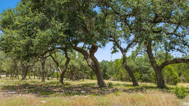 Tract 5 Cypress Cove RD, Spring Branch, TX 78070