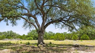 Tract 5 Cypress Cove RD, Spring Branch, TX 78070