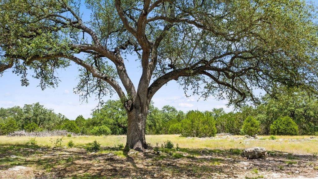Tract 5 Cypress Cove RD, Spring Branch, TX 78070