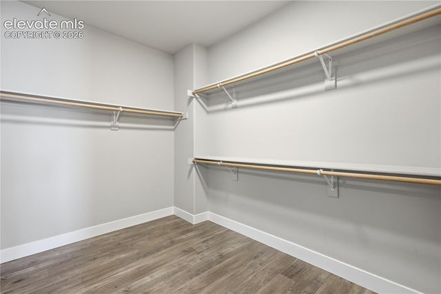7650 Almond Wood Loop, Colorado Springs, CO 80908