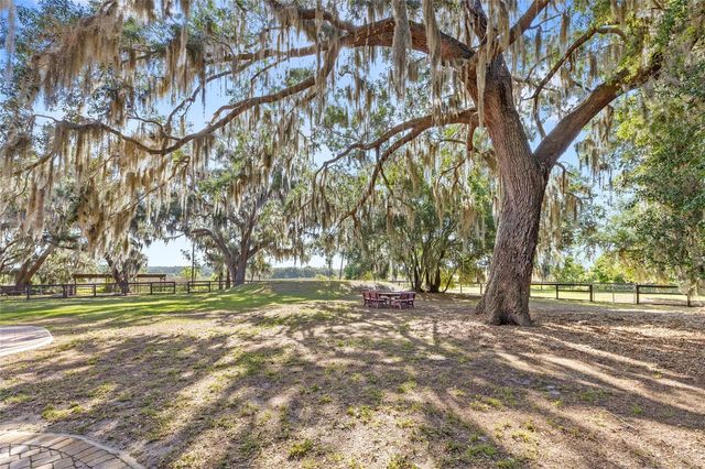 10925 ARROWTREE BOULEVARD, Clermont, FL 34715