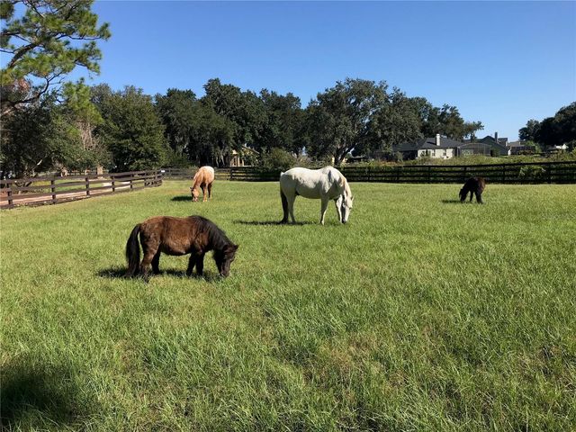 10925 ARROWTREE BOULEVARD, Clermont, FL 34715