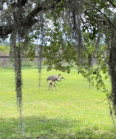 10925 ARROWTREE BOULEVARD, Clermont, FL 34715