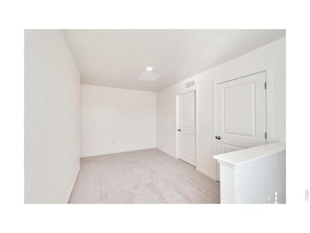 812 Trumpet Ln, Windsor, CO 80550