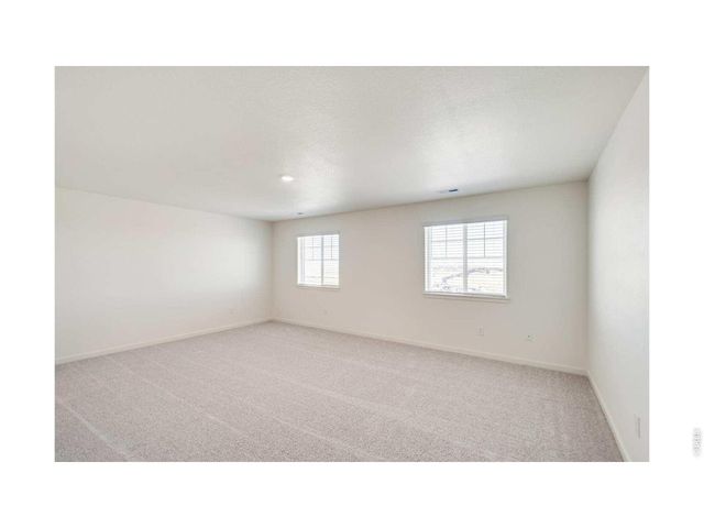 812 Trumpet Ln, Windsor, CO 80550