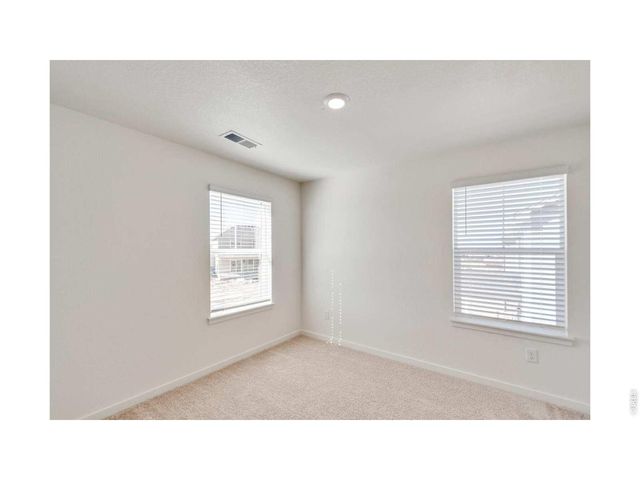 812 Trumpet Ln, Windsor, CO 80550