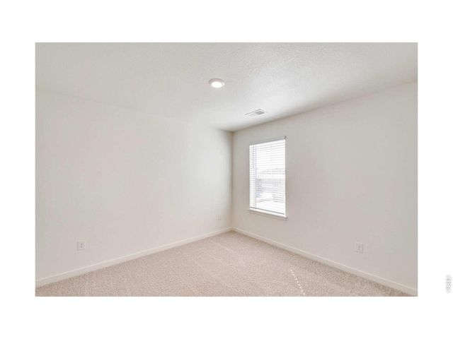 812 Trumpet Ln, Windsor, CO 80550
