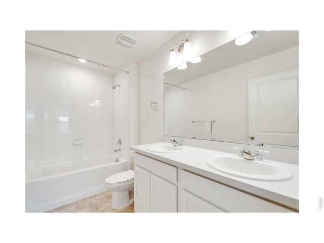 812 Trumpet Ln, Windsor, CO 80550